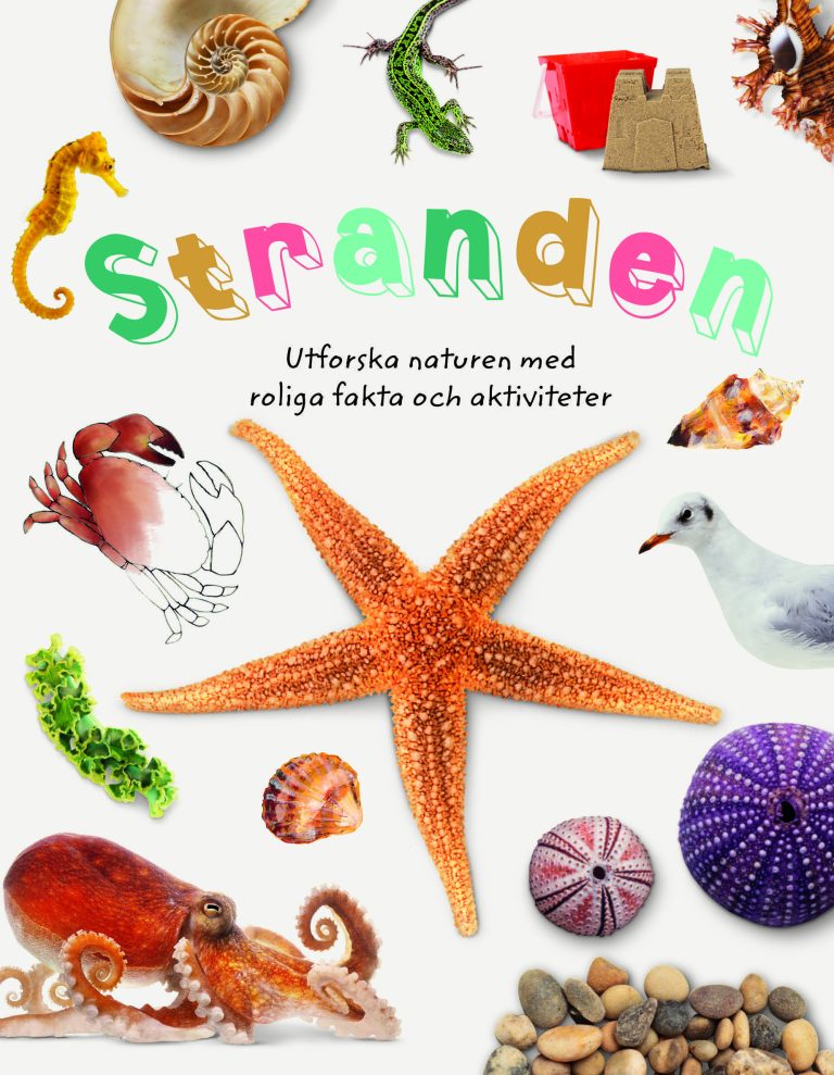 Stranden : utforska naturen med roliga fakta och aktiviteter