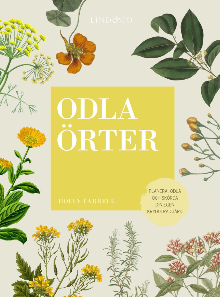 Odla örter