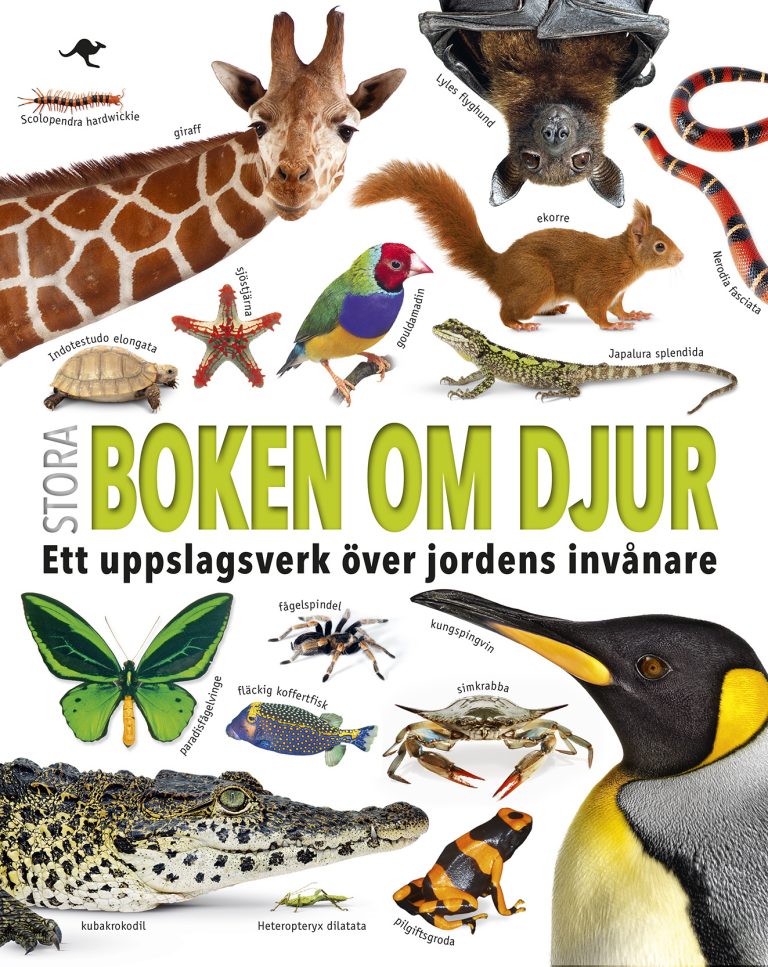 Stora boken om djur