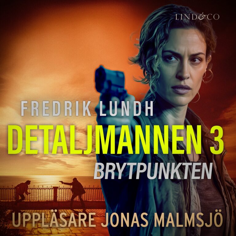 Detaljmannen 3 : Brytpunkten