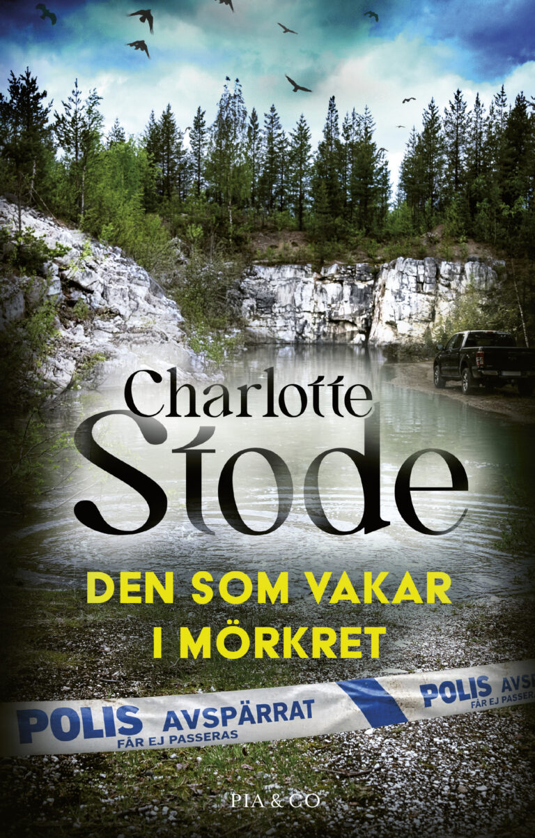 Den som vakar i mörkret