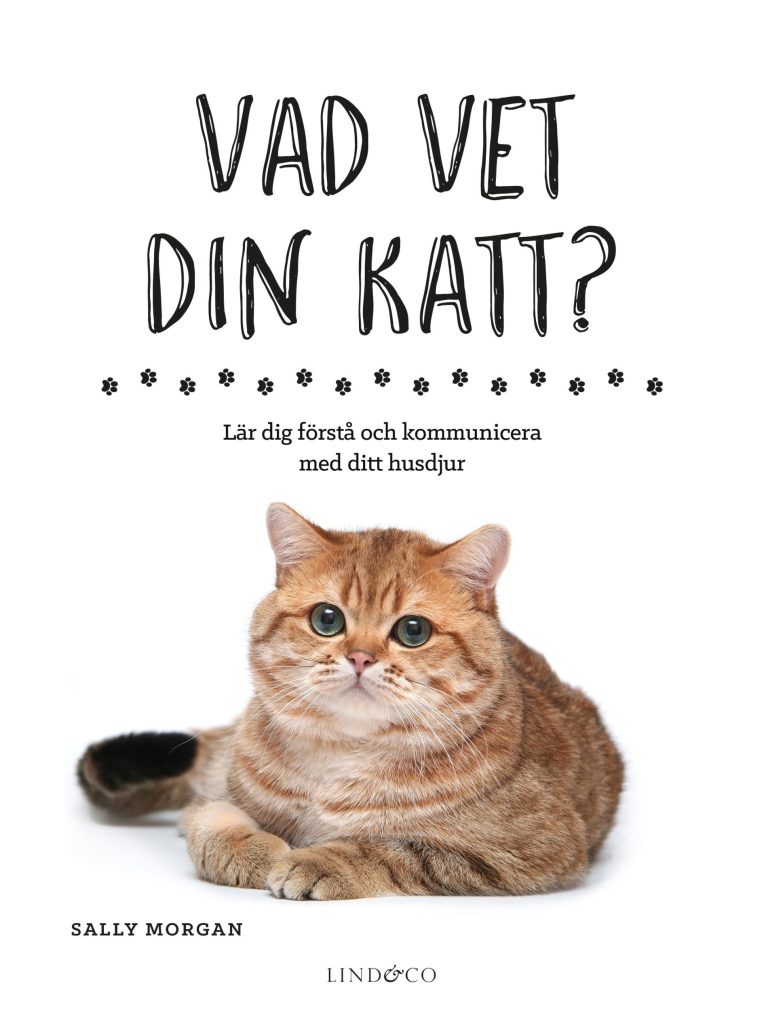 Vad vet din katt?