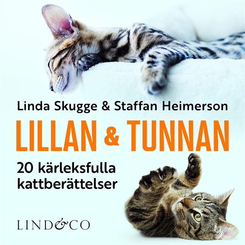 Lillan och Tunnan : 20 kärleksfulla kattberättelser