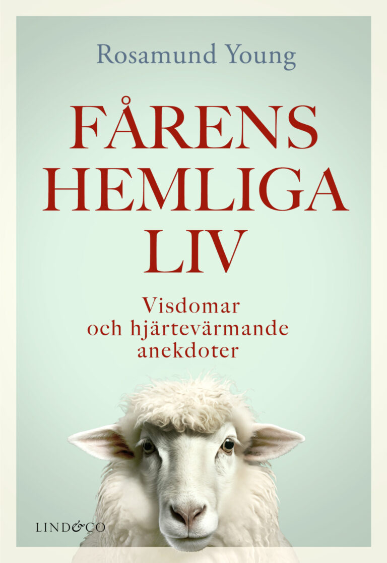 Fårens hemliga liv